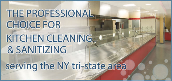 The Professional Choice for Kitchen Cleaning and Sanitizing
